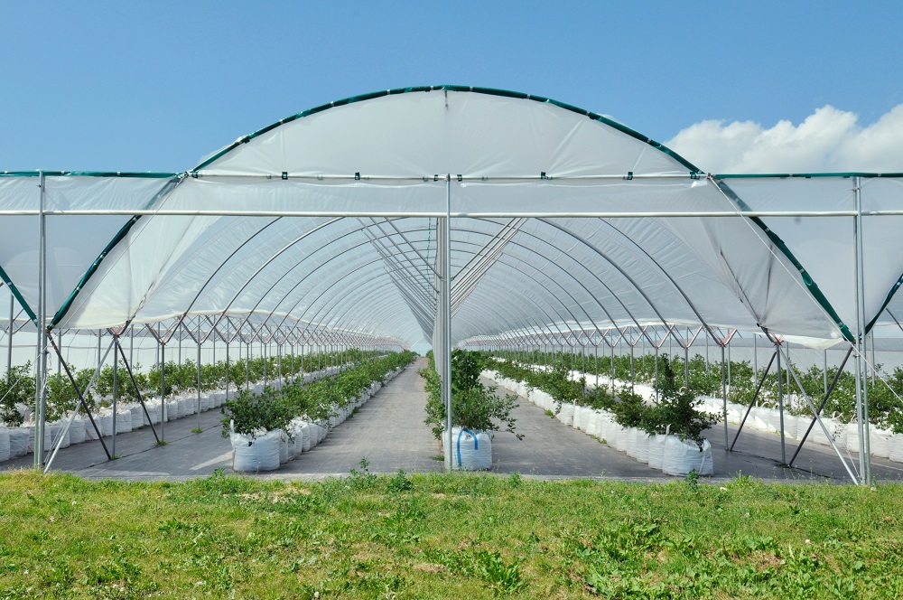 Odbiór folii rolniczej